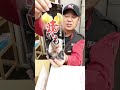 信じられないくらい甘い焼き芋?!#shorts #焼き芋 #トラスト企画