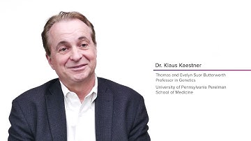 Imaging Mass Cytometry in View: Hear how it