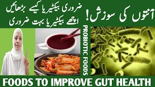 The Best Probiotic Food Is Definitely Not Yogurt /5 Foods To Fix Your Gut /Listen Your Body