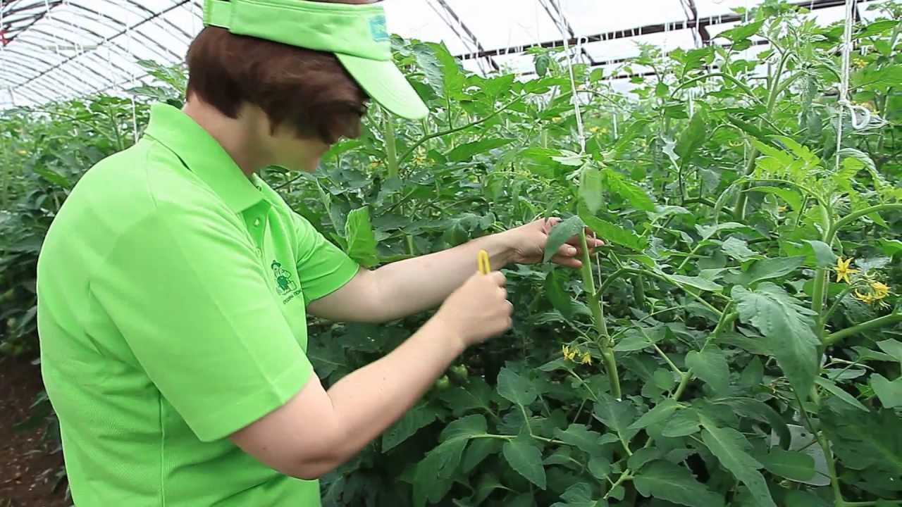 Магазин Агрофирмы Поиск Официальный Сайт