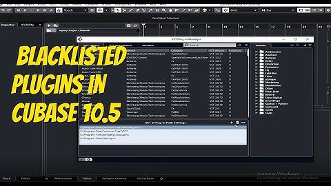 how to make a plugin show in cubase 10.5 (Why Plugins Blacklisted) in 2022