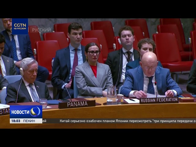 Иран: Китая и Россия не позволили Совбезу быть использованным в агрессивных целях