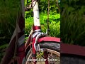 60 Seconds on my 1958 Rudge Ulster Tourist 3-speed vintage bicycle.