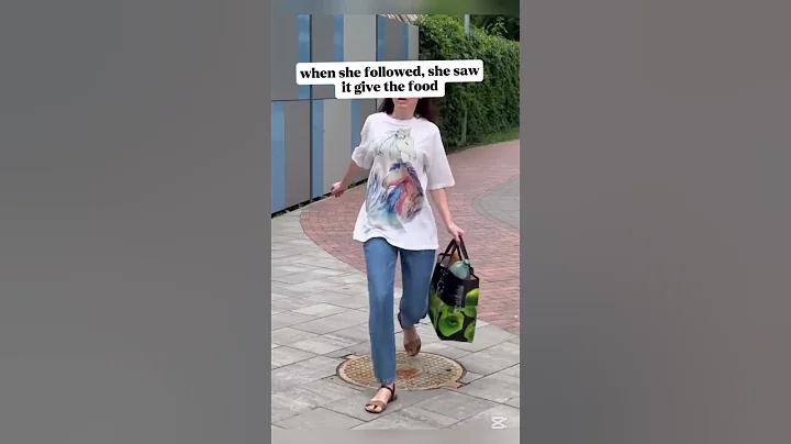 A dog’s theft turned into kindness 🐶❤️ #shorts