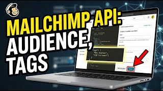 How to configure Mailchimp audience and tags using their API - Complete Guide