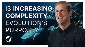 Is Increasing Complexity Evolution