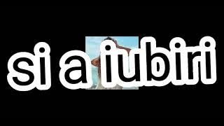 fetele pe balans- BIBI ( versuri lirics)