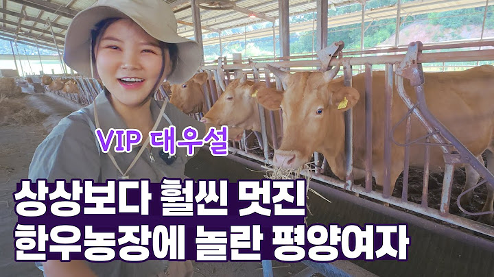 🐂 북한에서 상상도 못할 한우농장 방문기 (1부)