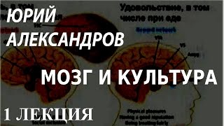 ACADEMIA. Юрий Александров. Мозг и культура. 1 лекция. Канал Культура