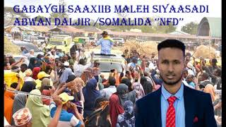 Gabaysaaxiib Maleh Siyaasadiabwan Daljir