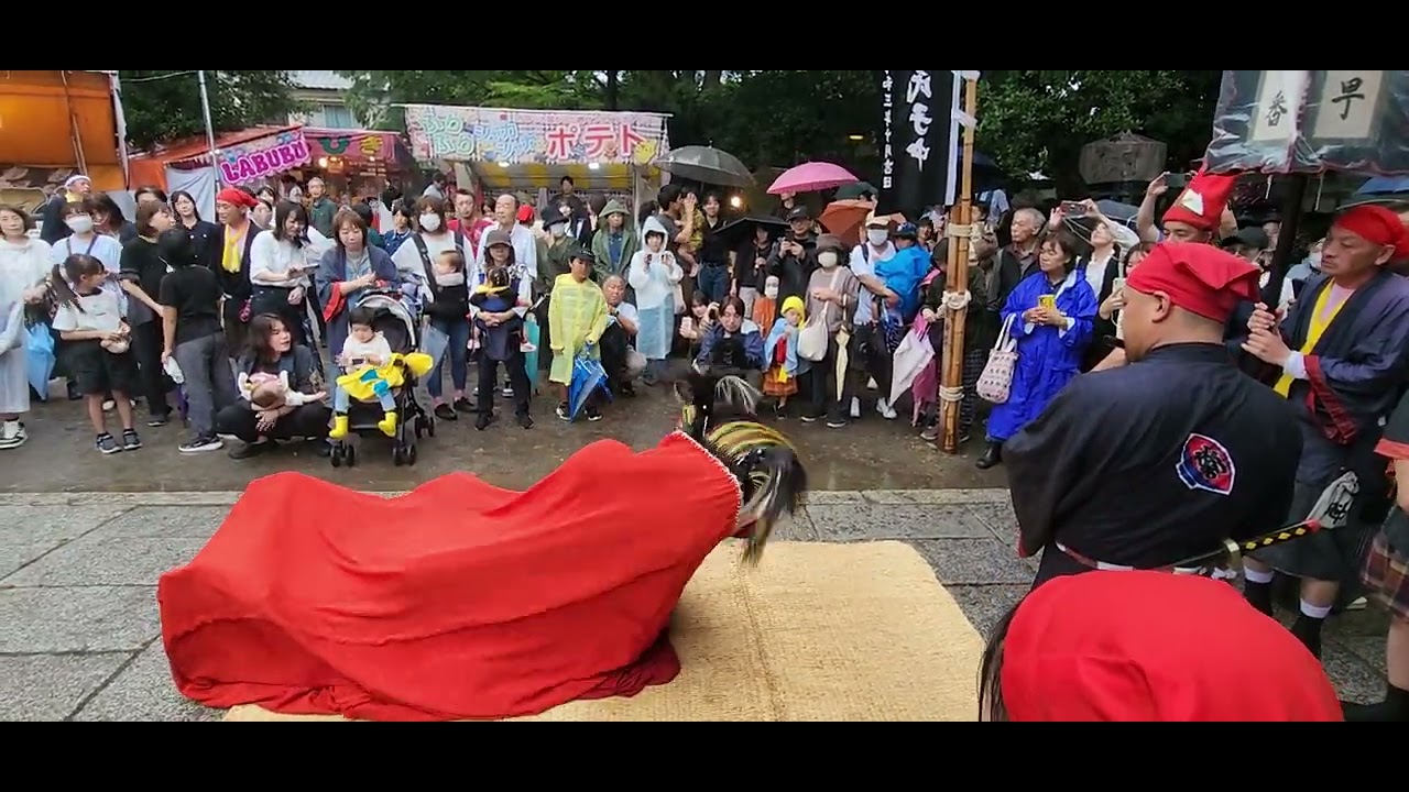 令和7年10月5日(日)　御坊祭　本祭り　中組　新町　獅子舞奉納