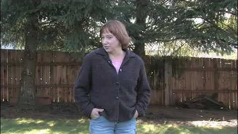 How to Grow Grass Around Pine Trees