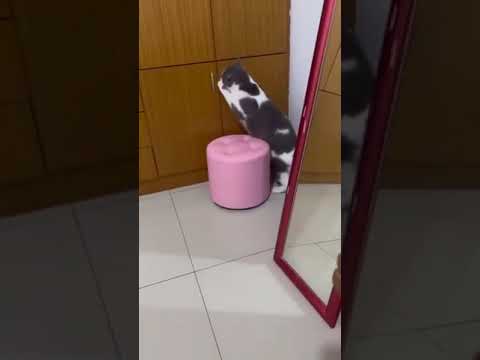 Когда пришли гости