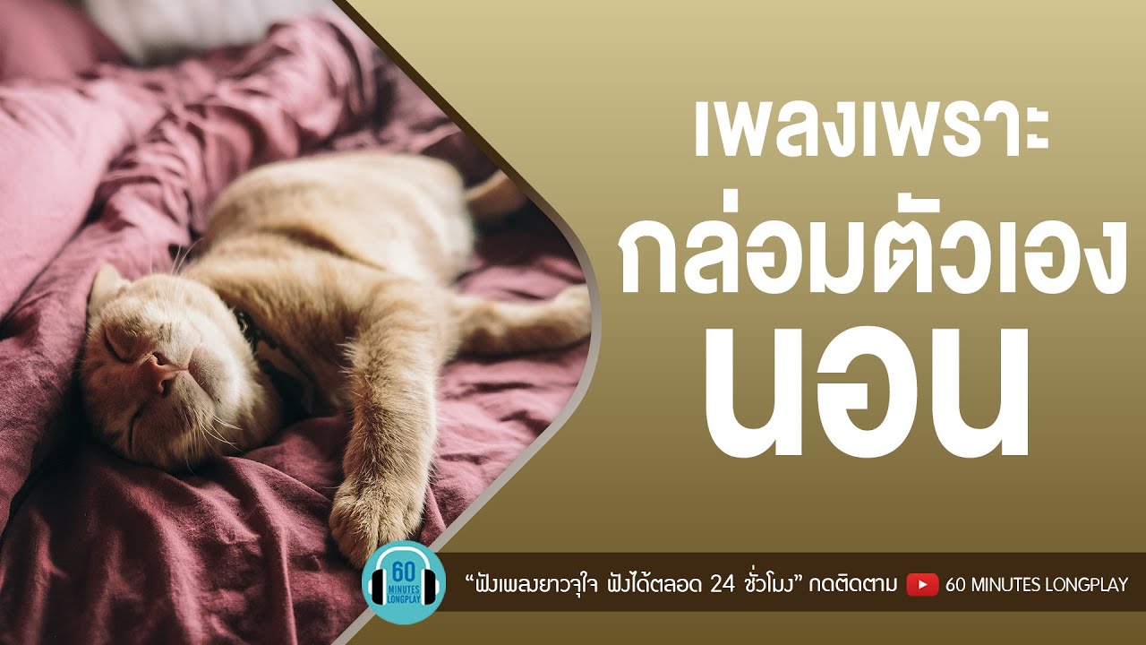 เพลงเพราะกล่อมตัวเองนอน เพลงCOVER [อยากให้รู้ว่าเหงา,ไม่หลับไม่นอน,อยู่ไป-ไม่มีเธอ,ลมเปลี่ยนทิศ] l