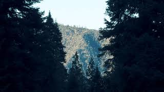 24 Hours to Escape - Mt Pinos