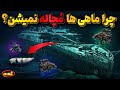 فشاراعماق اقیانوس تایتان را مچاله کرد پس ماهی ها در آنجا چه میکنند 