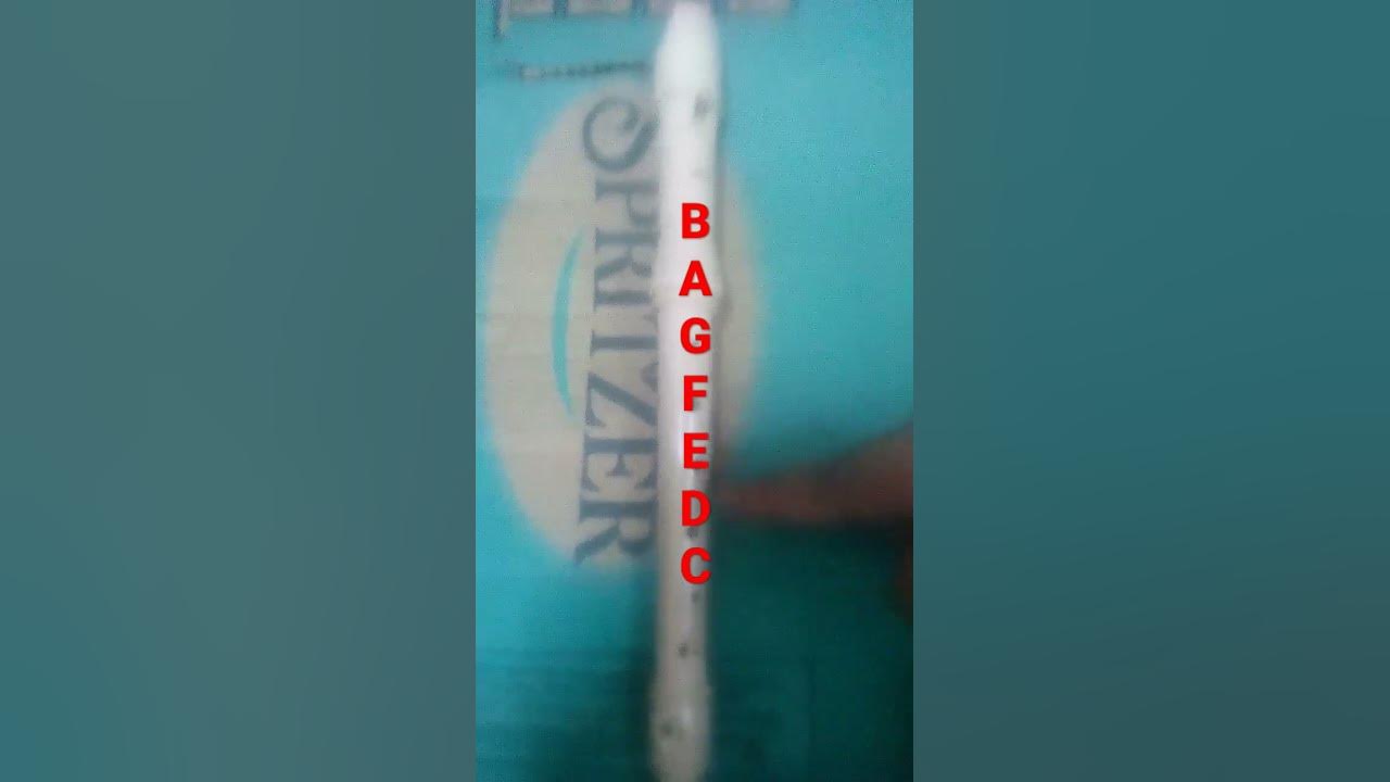 kenalan not recorder