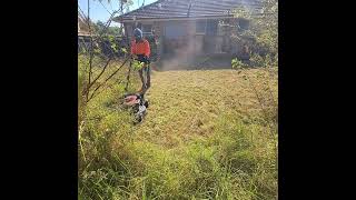 lawn mowing part 11 (House Backyard like an Evil Forest) #viral #mowing #satisfying #lawnmower by Mr Just Do IT 315 views 1 month ago 12 minutes, 28 seconds