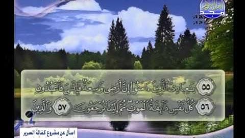 ماتيسر من سورة العنكبوت الشيخ هشام عبدالباري