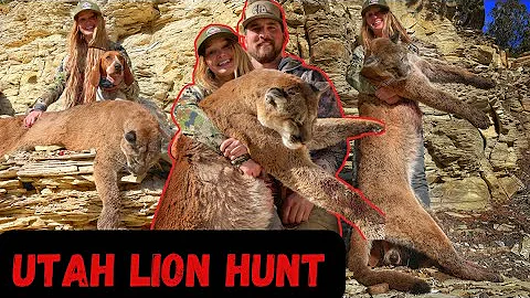 Utah Mountain Lion Hunt: BIG TOM DOWN!