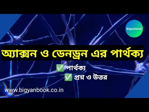 অ্যাক্সন ও ডেনড্রনের পার্থক্য