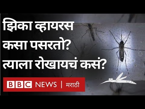 Zika Virus Symptoms, Treatment, Precautions: Keralaमध्ये आढळलेल्या झिका व्हायरसची लक्षणं, उपचार काय?