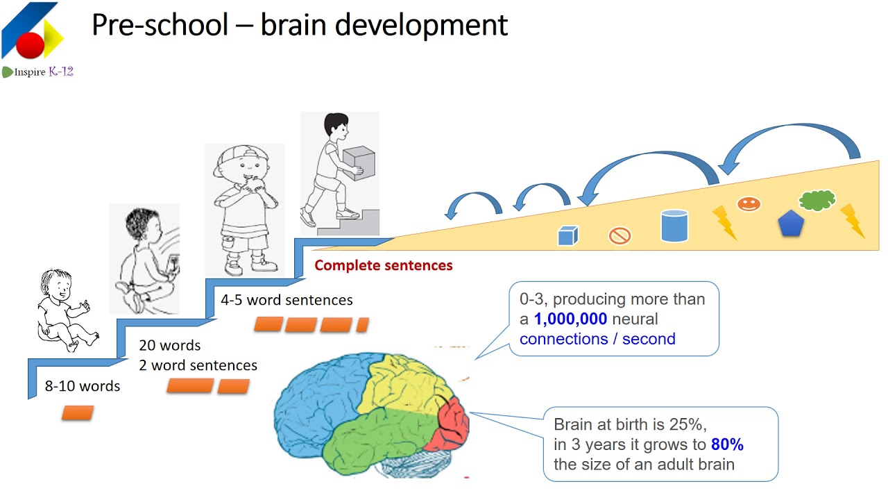 Language Learning Brain Development