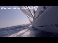 Vier Vollidioten segeln vor der Küste Kroatiens (Sun Odyssey 45)