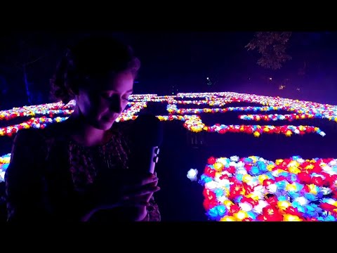 ASMR at The NightGarden 🦋
