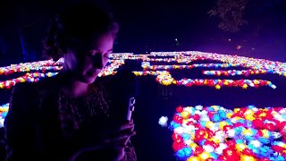 Asmr At The Nightgarden