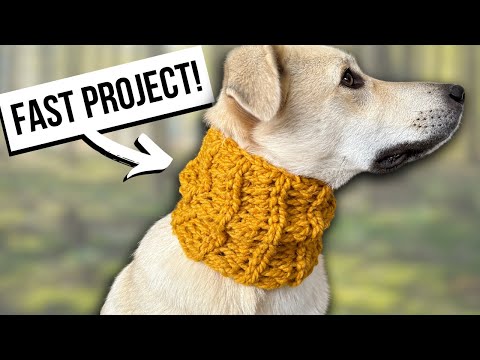 RIBBED CROCHET SNOOD FOR A DOG 🐶 Keep your dog warm this winter