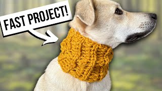RIBBED CROCHET SNOOD FOR A DOG 🐶 Keep your dog warm this winter