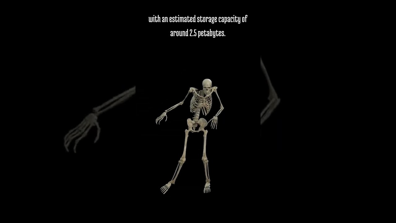 The Human Brain's Storage Capacity! 🧠