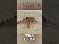 どこにいようが生きる道を閉ざされたアサリ