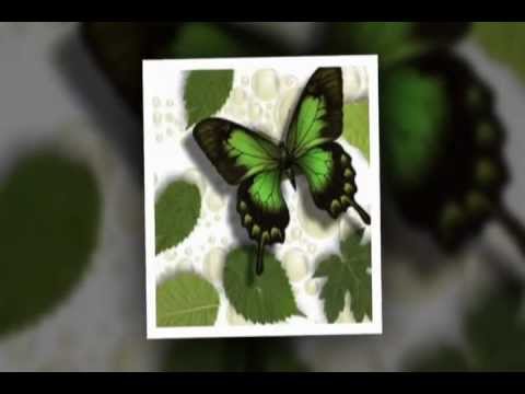 للحب لمسه وللقروب الآخضر اروع لمسه