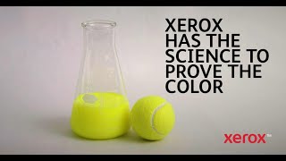 What's the real color of a tennis ball? Science has the answer.