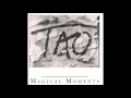 Tao - Magical Moments 12" Extended Magic Maxi CD Mix