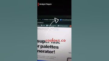 Top 5 Color Palettes website 🚀