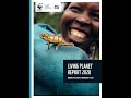 What is biodiversity, why should we care? - Interview with Mike Barrett, WWF.