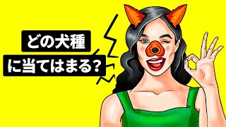 どの犬種に当てはまる？性格テスト！