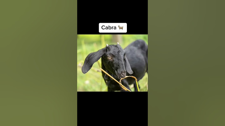 Animales mutantes que fueron grabados en Chernobyl… 😳 | #Shorts