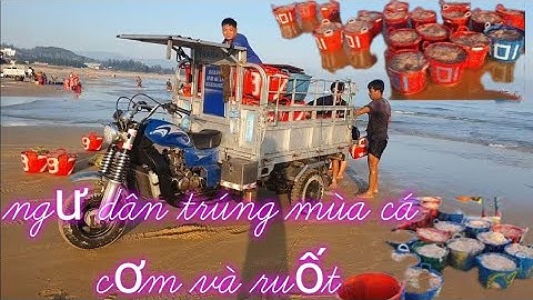 Ngư dân miền biển trúng mùa cá cơm và ruốt vào những ngày tết/Ngư dân miền biển