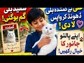 A Beautiful Cat Lost  | Apny Janver ka Khayal Rakhin  | Moral Stories 
