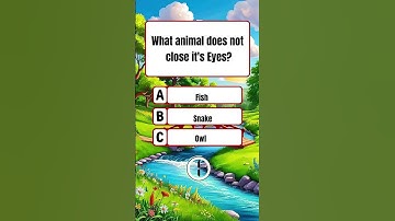 Test Your Brain Power 🧠😇! #quiz #quizzes #quizchallenge #trivia #jinglequiz #braingame #viral #fypp