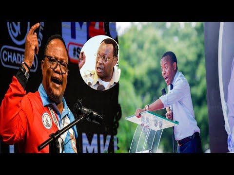 STEVE NYERERE ATEMA SUMU KALI KWA TUNDU LISSU KUUTAKA URAIS 2025