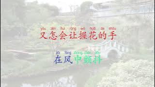 莫名我就是喜欢你 mo ming wo jiu shi xi huan ni, I just love you (karaoke lagu mandarin pin yin)