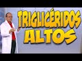 TRIGLICÉRIDOS ALTOS - ¿Cuáles son sus CAUSAS y qué CONSECUENCIAS puede tener para la SALUD?