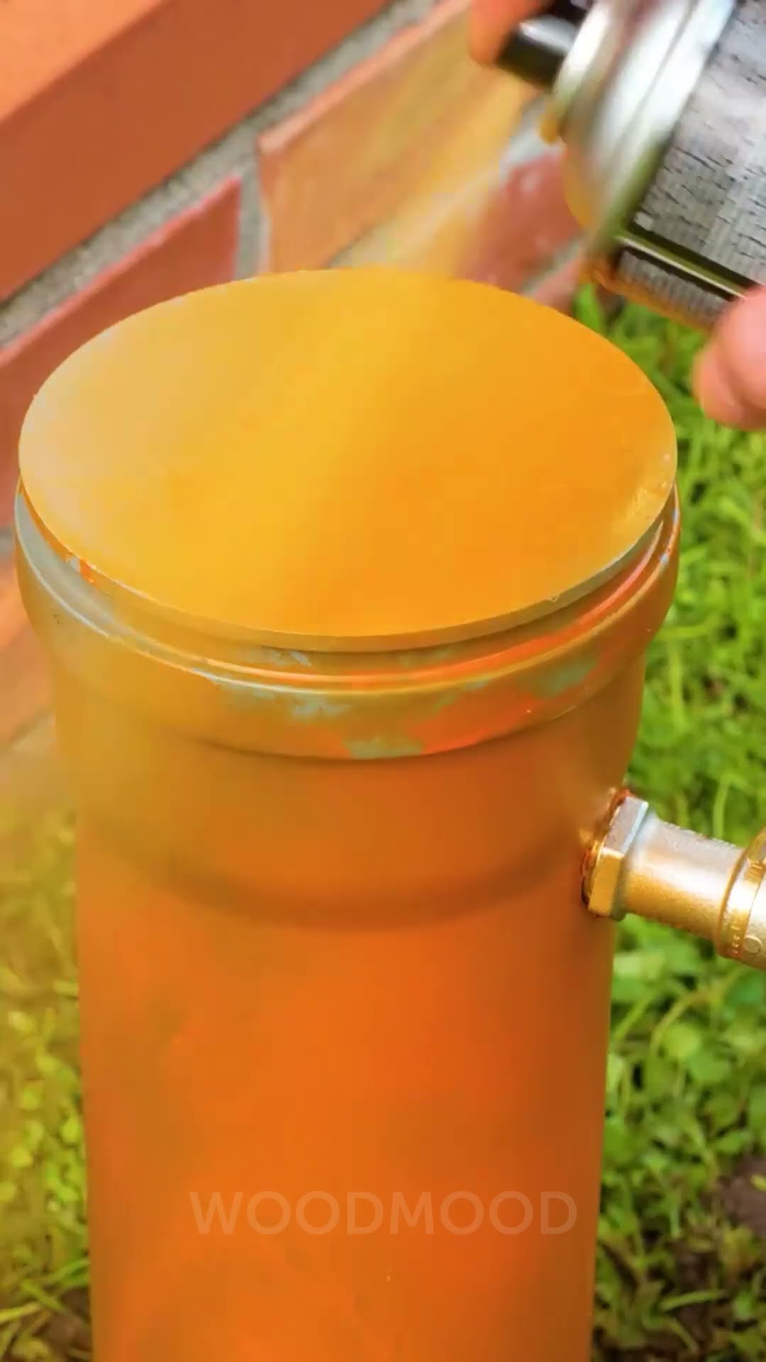 Super Cute Gardening hacks for you to try?