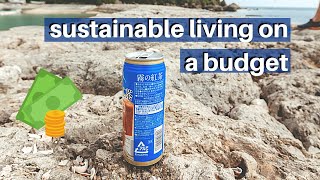 HOW TO LIVE SUSTAINABLY FOR FREE (free ways to live zero waste pt 5)