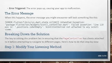 How to Resolve the PageController not set properly Error in Flutter